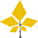 weather,nature,tree,leaf,autumn,fall,tree leaf,dry leaf,foliage